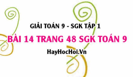 Giải bài 14 trang 48 SGK Toán 9 tập 1